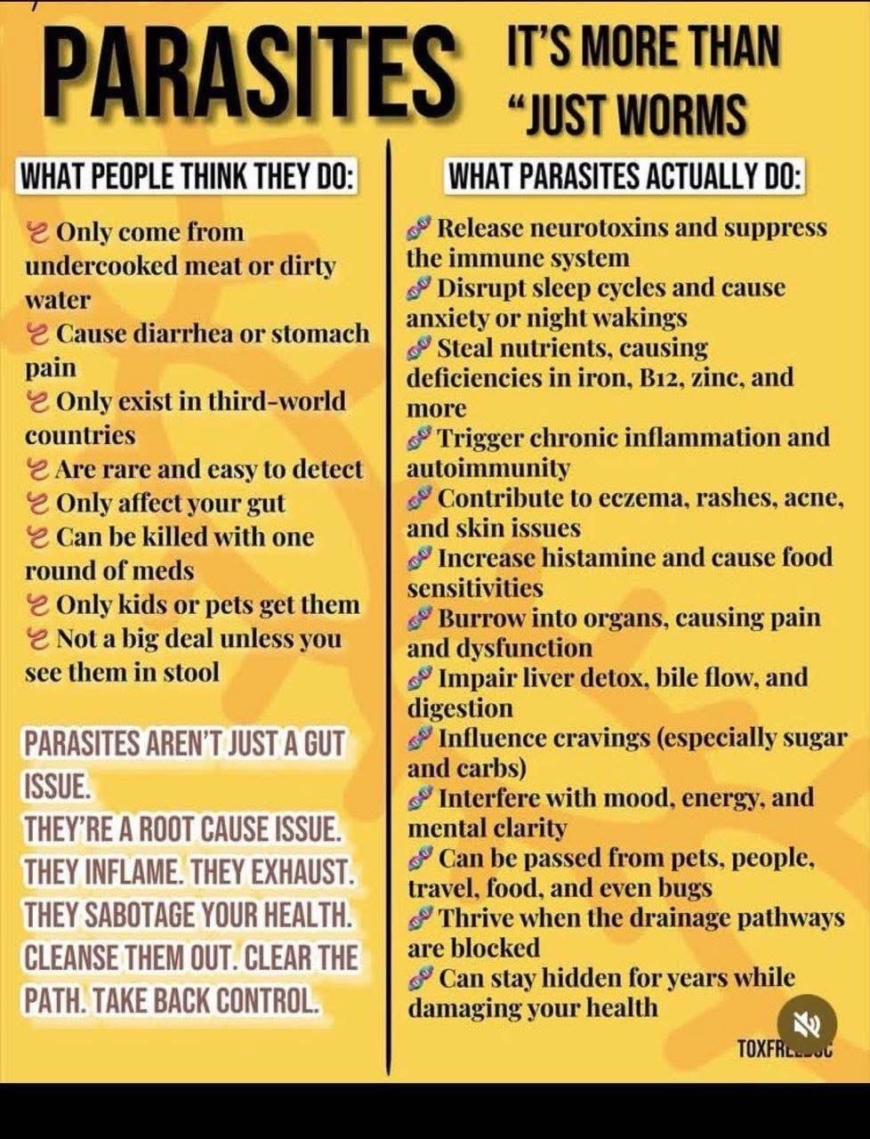 Parasite Protocol: A beginners guide