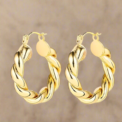 Fashion Hoops 14k Gold Plated