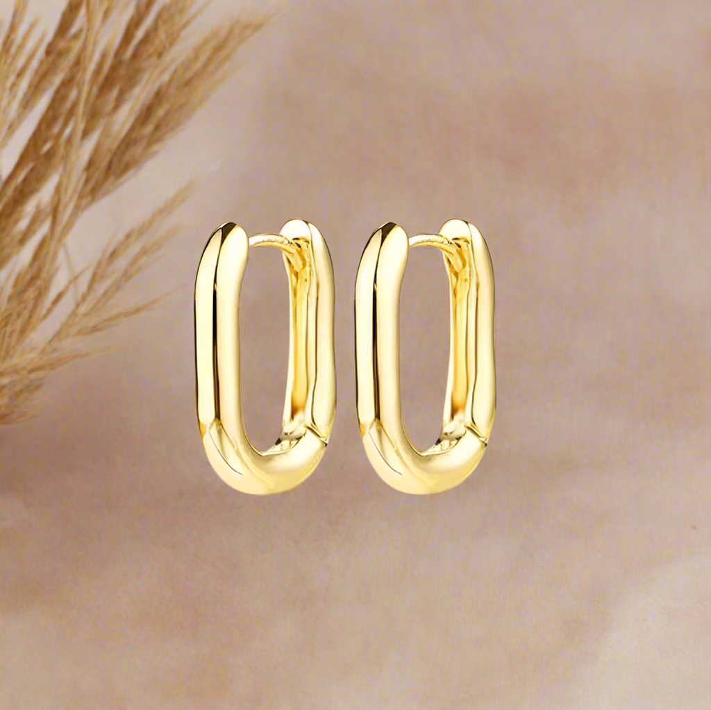 Fashion Hoops 14k Gold Plated
