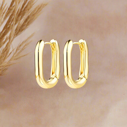Fashion Hoops 14k Gold Plated