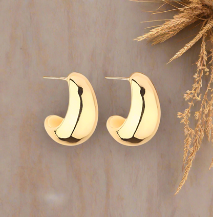 Fashion Hoops 14k Gold Plated