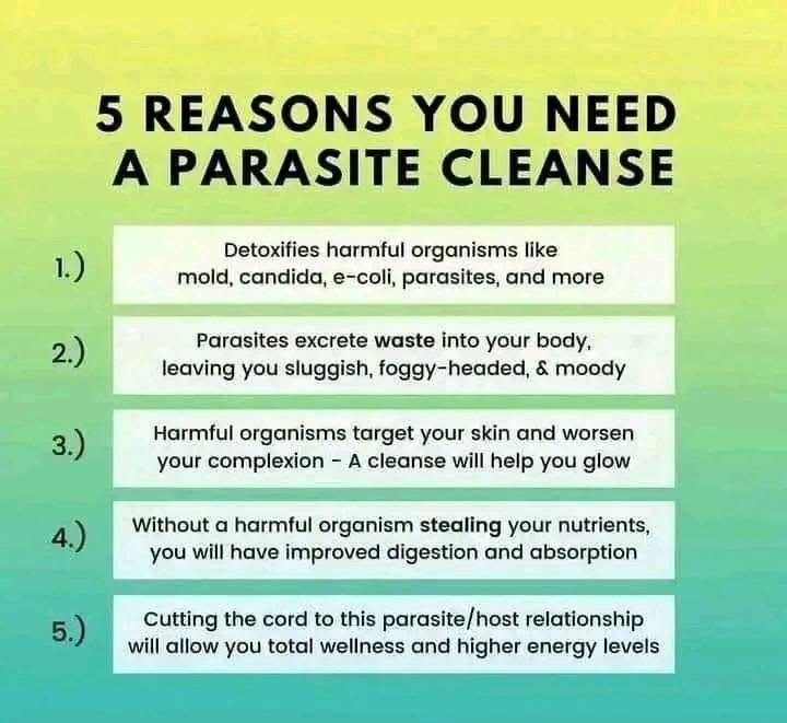 Parasite Protocol: A beginners guide