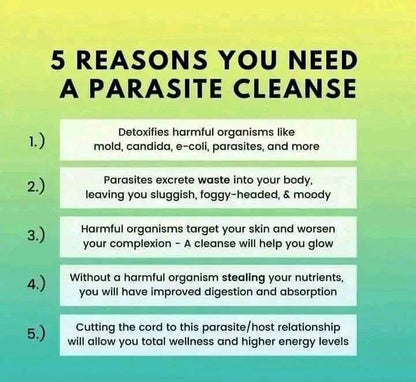 Parasite Protocol: A beginners guide